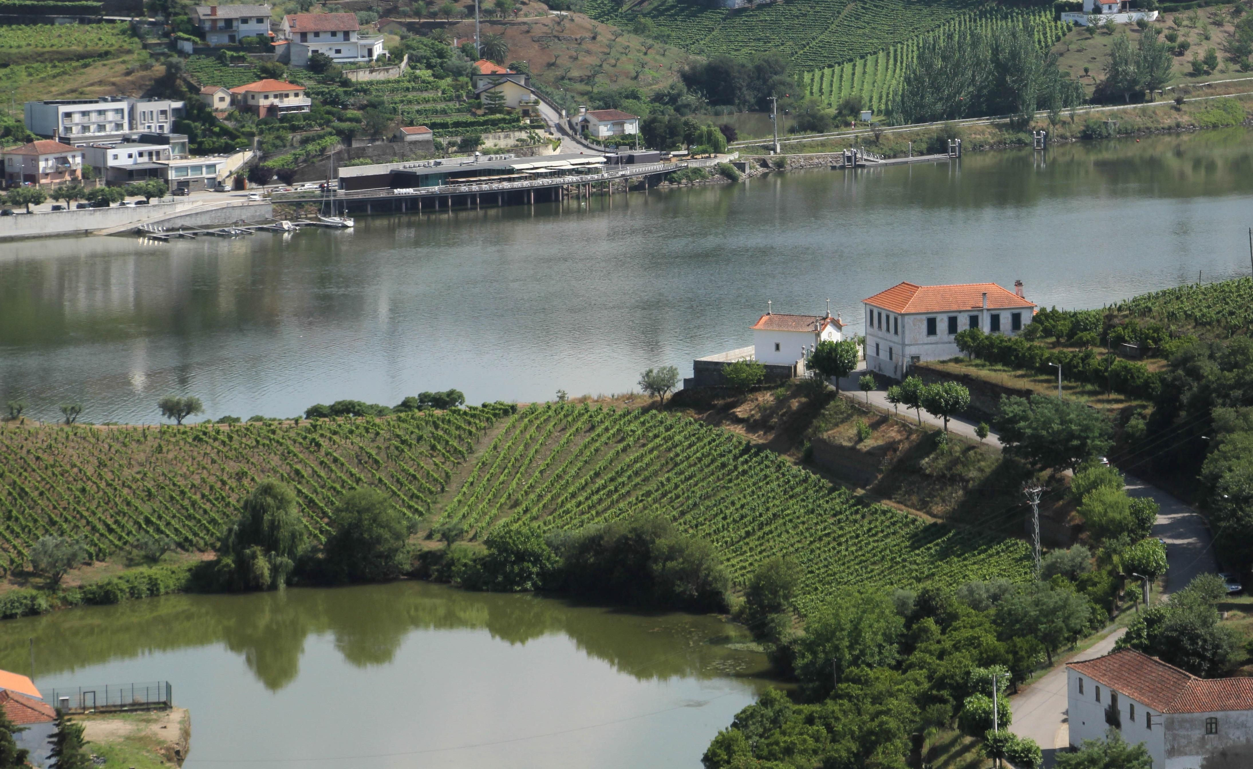 Hotel Folgosa Douro Armamar Exterior photo