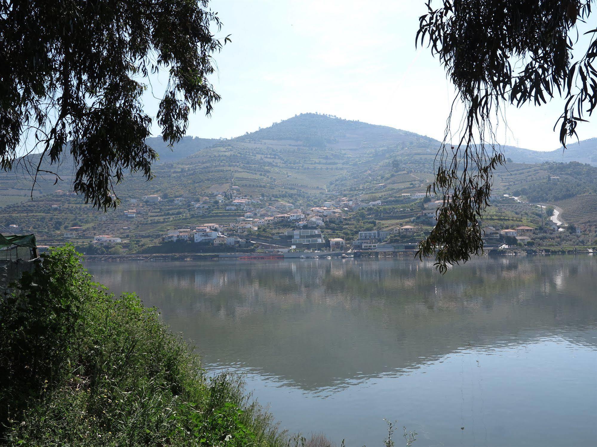 Hotel Folgosa Douro Armamar Exterior photo